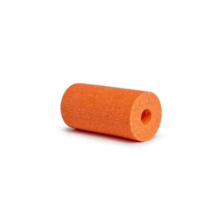 Blackroll Matériel De Musculation|Récupération^Micro Foam Roller (Pocket Size)