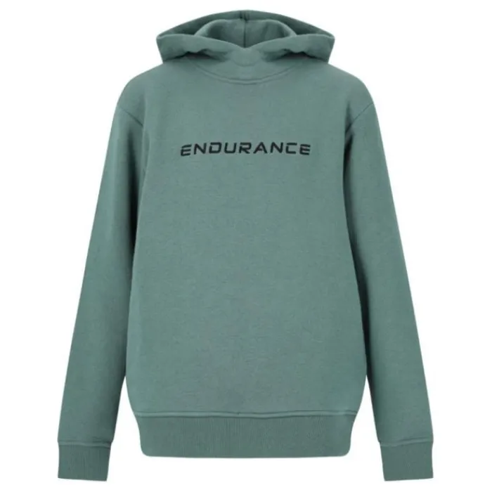 Endurance T-shirt Et Manches Longues Running^Glakrum Hoody Vert