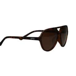 Lipati Lunettes De Running^Boston Breeze Sunglasses Marron