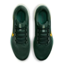 Nike Chaussures Running Neutre|Chaussures Running Entrainement^Pegasus 41 Vert