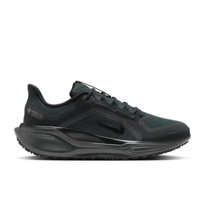 Nike Chaussures Running Neutre^Pegasus 41 Gore-Tex Noir