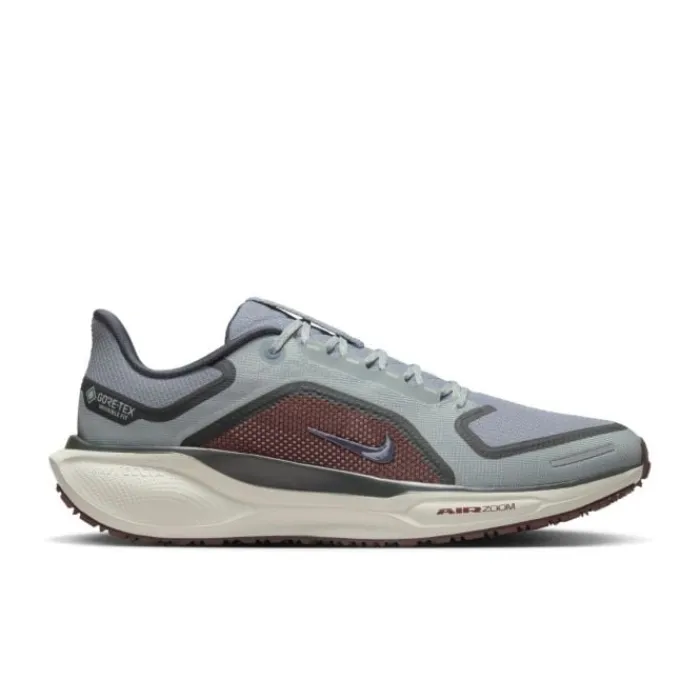 Nike Chaussures Running Neutre|Chaussures Running Entrainement^Pegasus 41 Gore-Tex Gris