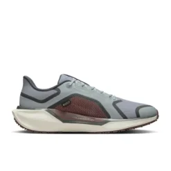 Nike Chaussures Running Neutre|Chaussures Running Entrainement^Pegasus 41 Gore-Tex Gris