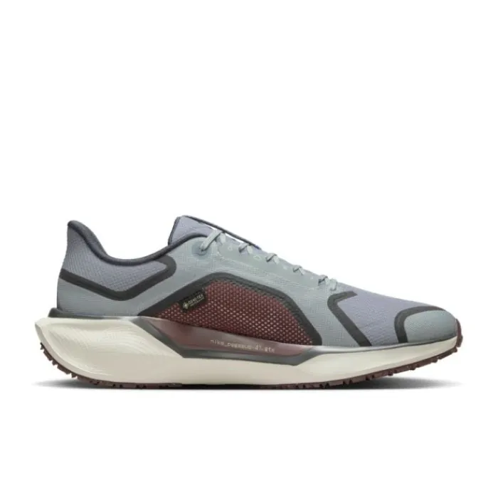 Nike Chaussures Running Neutre|Chaussures Running Entrainement^Pegasus 41 Gore-Tex Gris
