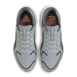 Nike Chaussures Running Neutre|Chaussures Running Entrainement^Pegasus 41 Gore-Tex Gris