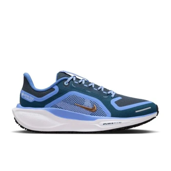 Nike Chaussures Running Neutre|Chaussures Running Entrainement^Pegasus 41 Gore-Tex Bleu