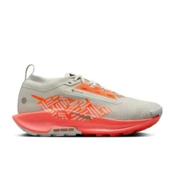 Nike Chaussures Running Neutre|Chaussures Trail^Pegasus Trail 5 Gore-Tex Argent