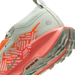 Nike Chaussures Running Neutre|Chaussures Trail^Pegasus Trail 5 Gore-Tex Argent