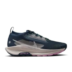 Nike Chaussures Running Neutre|Chaussures Trail^Pegasus Trail 5 Gore-Tex Bleu