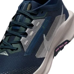 Nike Chaussures Running Neutre|Chaussures Trail^Pegasus Trail 5 Gore-Tex Bleu