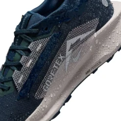 Nike Chaussures Running Neutre|Chaussures Trail^Pegasus Trail 5 Gore-Tex Bleu