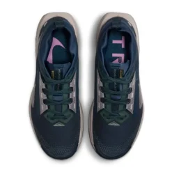 Nike Chaussures Running Neutre|Chaussures Trail^Pegasus Trail 5 Gore-Tex Bleu