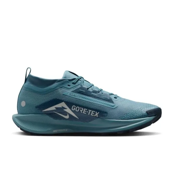 Nike Chaussures Running Neutre|Chaussures Trail^Pegasus Trail 5 Gore-Tex Bleu