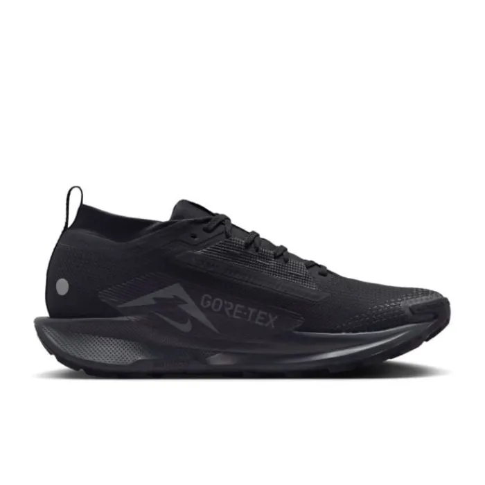 Nike Chaussures Running Neutre|Chaussures Trail^Pegasus Trail 5 Gore-Tex Noir