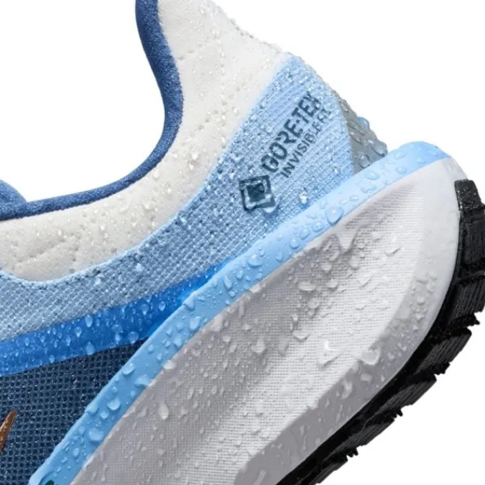 Nike Chaussures Running Neutre|Chaussures Running Entrainement^Winflo 11 Gore-Tex Bleu