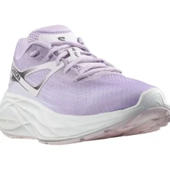 Salomon Chaussures Running Neutre|Chaussures Running Entrainement^Aero Glide Mauve