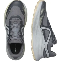 Salomon Chaussures Running Neutre|Chaussures Trail^Glide Max TR Gris