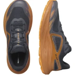 Salomon Chaussures Running Neutre|Chaussures Trail^Glide Max TR Marron