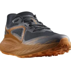 Salomon Chaussures Running Neutre|Chaussures Trail^Glide Max TR Marron