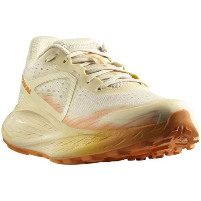 Salomon Chaussures Running Neutre|Chaussures Trail^Glide Max TR Marron
