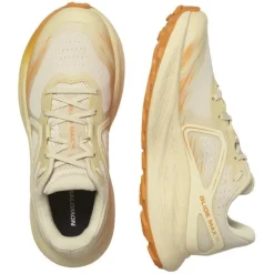 Salomon Chaussures Running Neutre|Chaussures Trail^Glide Max TR Marron