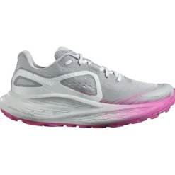 Salomon Chaussures Running Neutre|Chaussures Trail^Glide Max TR Gris