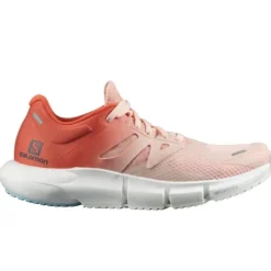 Salomon Chaussures Running Neutre|Chaussures Running Compétition^Predict 2
