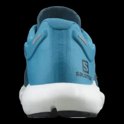 Salomon Chaussures Running Neutre|Chaussures Running Compétition^Predict 2