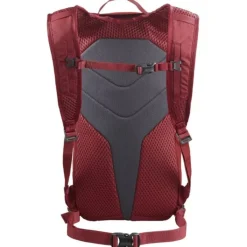 Salomon Sacs À Dos Et Sacs^Trailblazer 30 Rouge