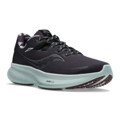 Saucony Chaussures Running Neutre|Chaussures Running Entrainement^Ride 15 Runshield Frost Noir